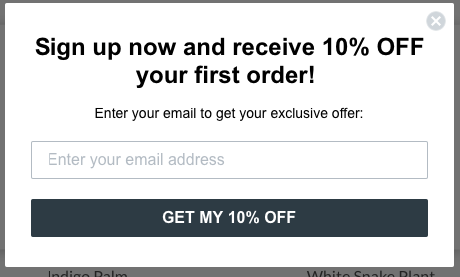 eCommerce email marketing automation type.