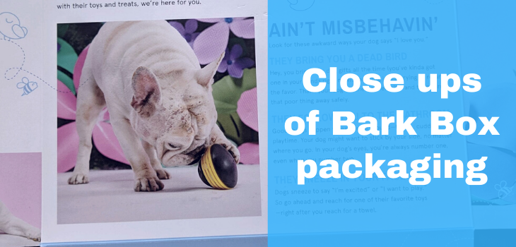 Close ups of Bark Box packaging