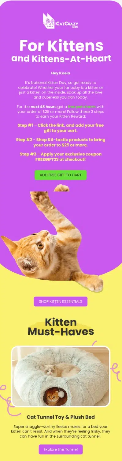 CatCrazy Store email design for National Kitten Day by Flowium.