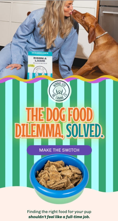 Dog food dilemma, solved email design by Winnie Lou by Flowium.
