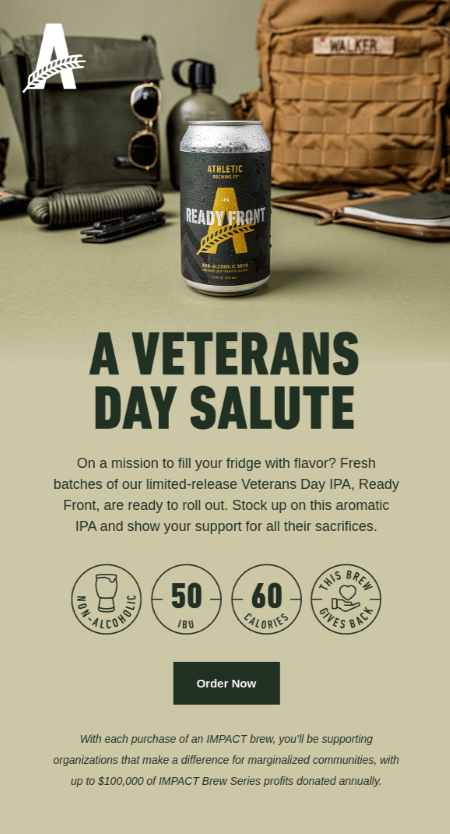 Veterans Day Salute email design.