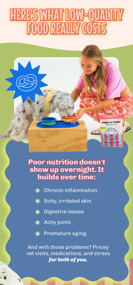 What low-quality food costs email design from Winnie Lou by Flowium.