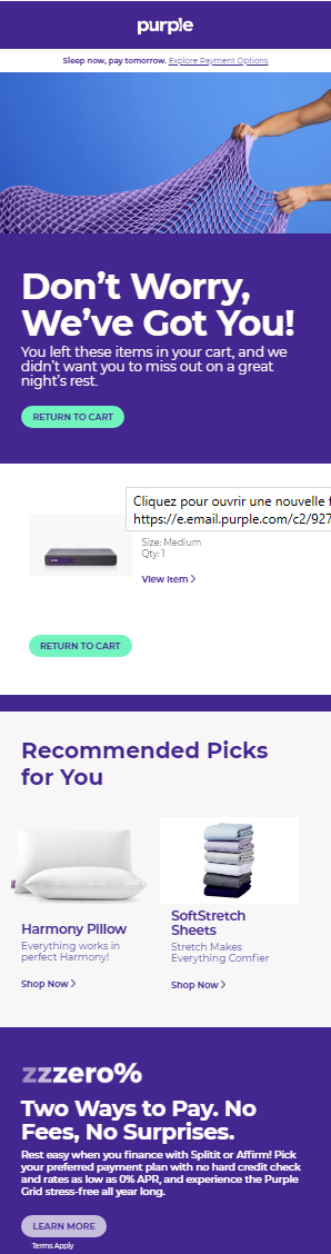 Example of an abandoned cart email