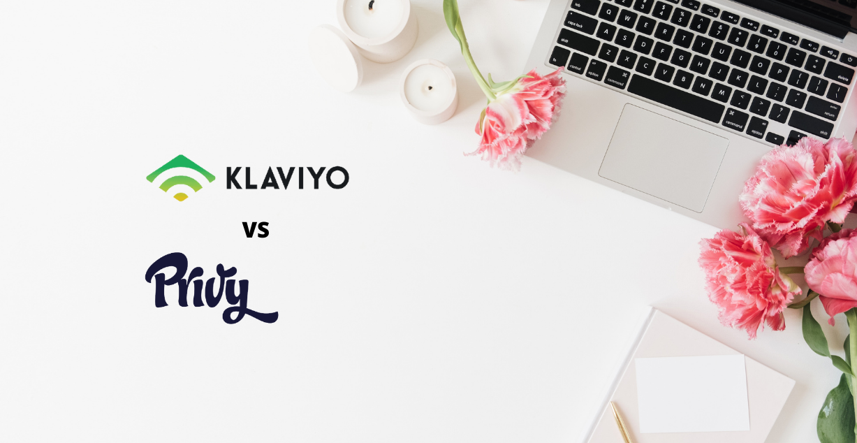 Klaviyo vs Privy for an email marketing agency