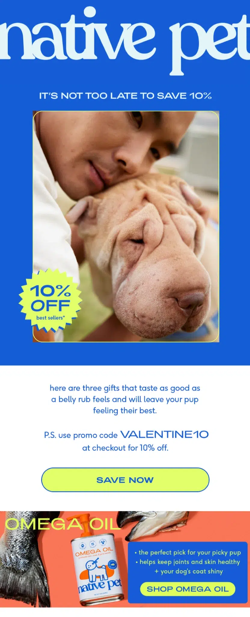 Native Pet Valentine’s Day email design by Flowium.