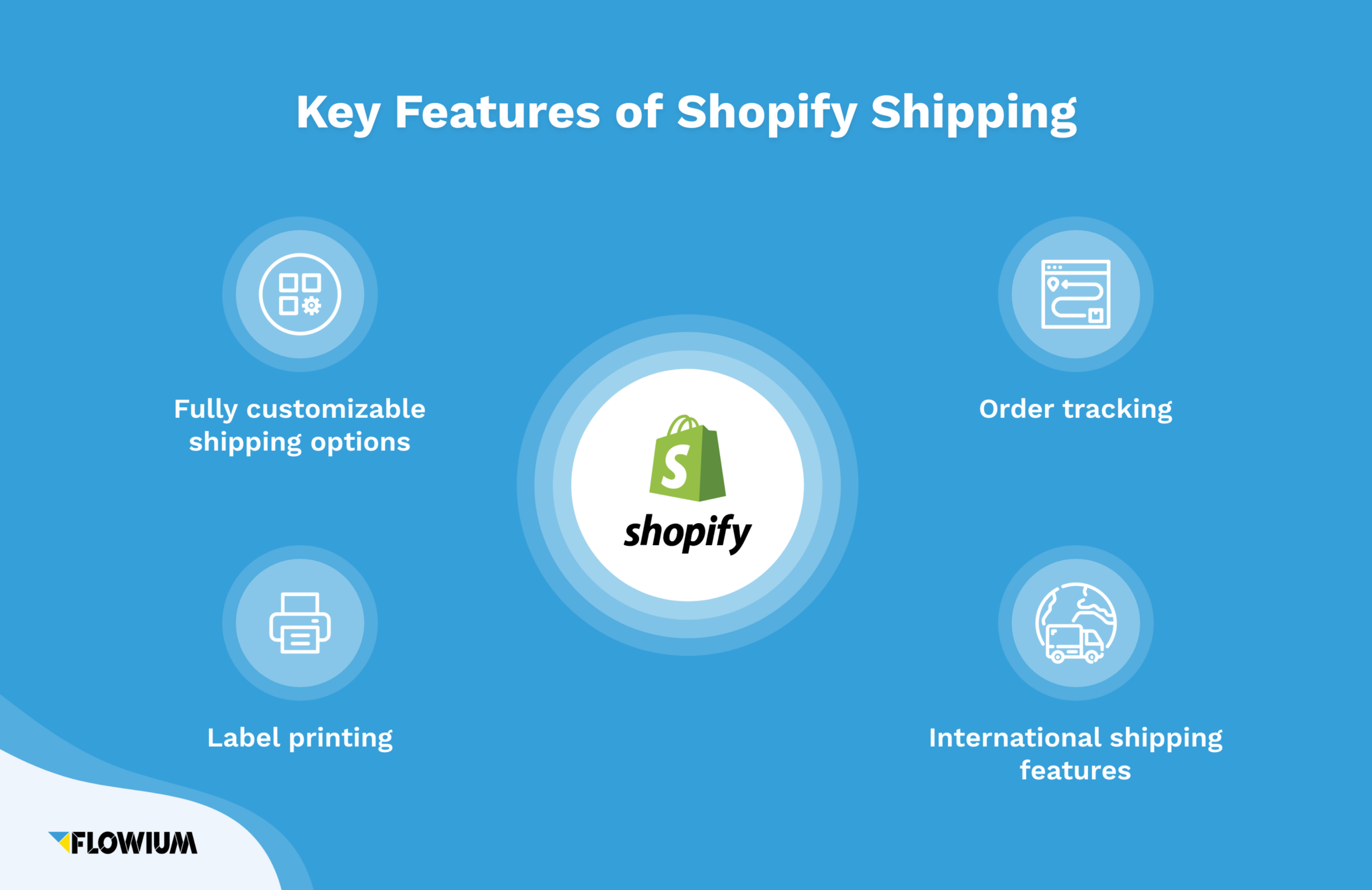 Shopify Shopping key features