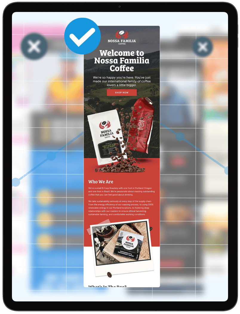 An email example showing email marketing potential on ipad.
