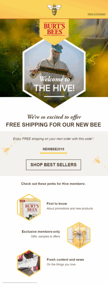World Bee Day email example.