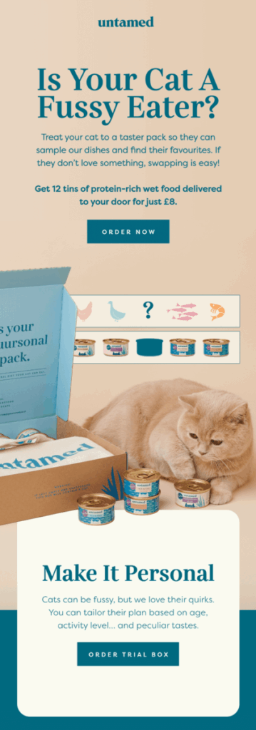 International Cat Day email design.
