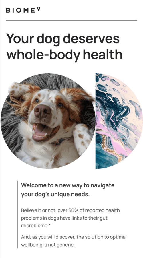 National Dog Day email.