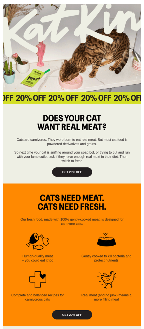 Happy Cat Month email design by Kat Kin.