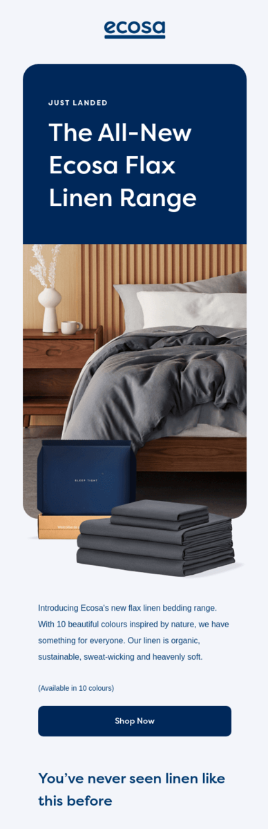 National Make Your Bed Day email design.