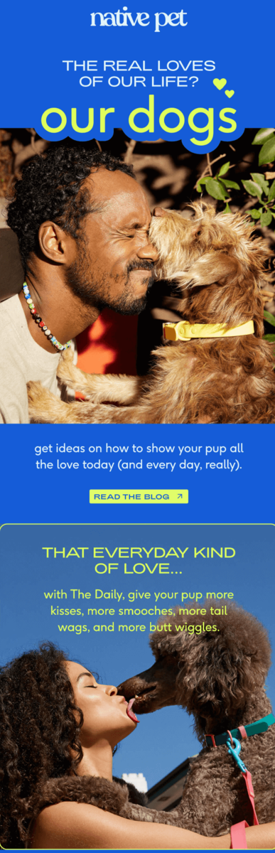 Hug Your Hound Day email design.