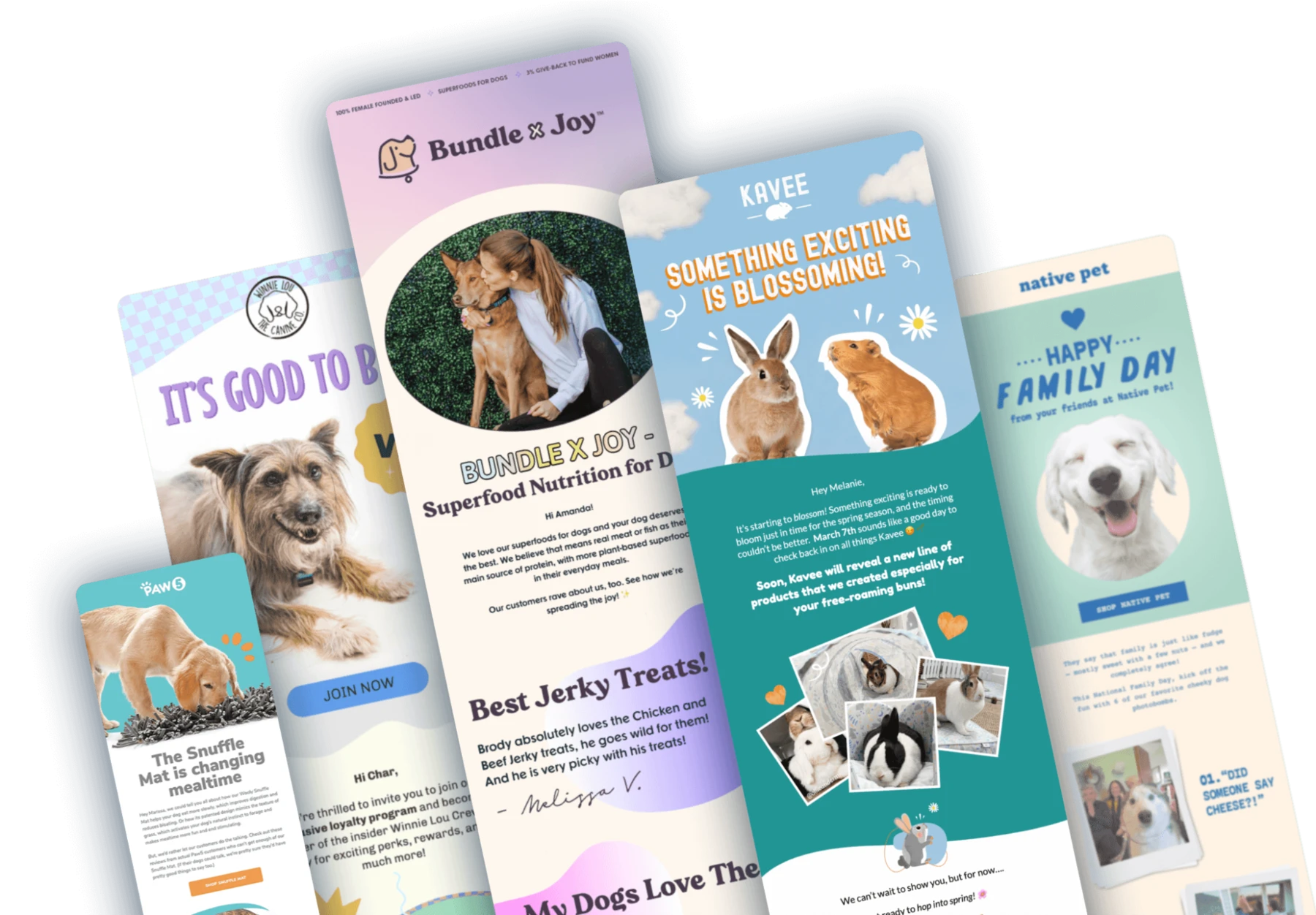 Pet Food & Care Industry Service.