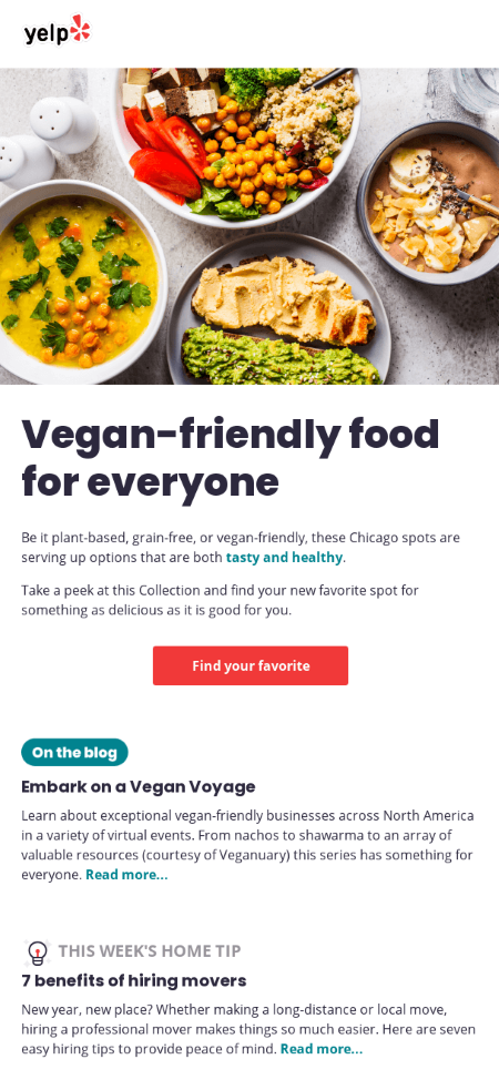 A colorful email of vegan-friendly dishes, showcasing diverse options for everyone to enjoy a healthy meal.