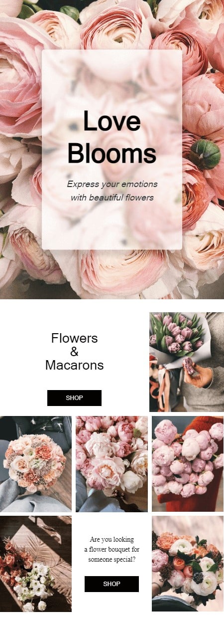 Email design showcasing Love Blooms Flowers, featuring beautiful floral arrangements and elegant design elements.