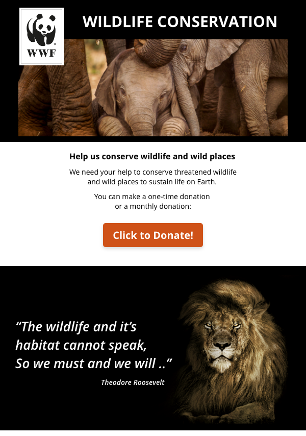 Email design of a wildlife conservation organization featuring vibrant images of animals and conservation efforts.