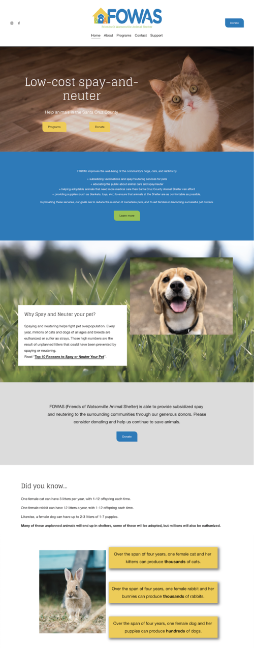 Email design for a pet store featuring vibrant colors and pet-friendly themes, promoting World Spay Day awareness.