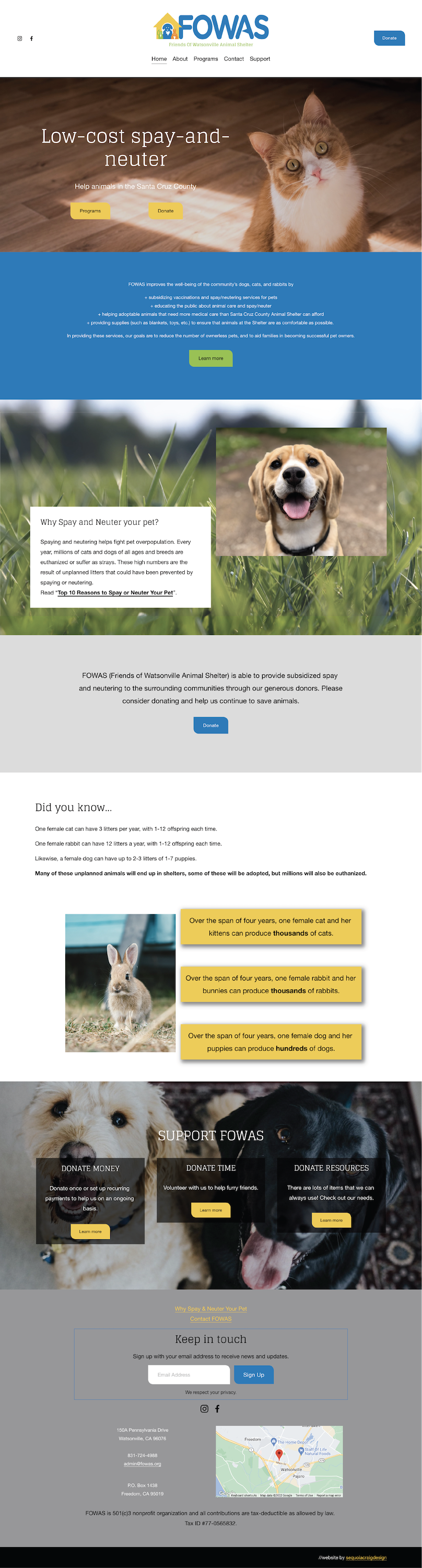Email design for a pet store featuring vibrant colors and pet-friendly themes, promoting World Spay Day awareness.