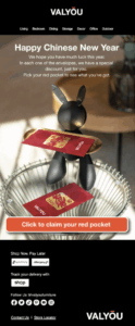 Lunar New Year Email: Marketing Strategies, Ideas, and Examples for ...