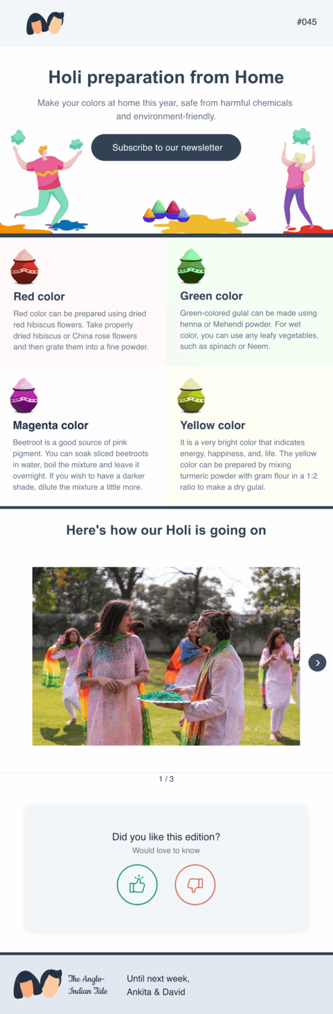 Email example for Holi.