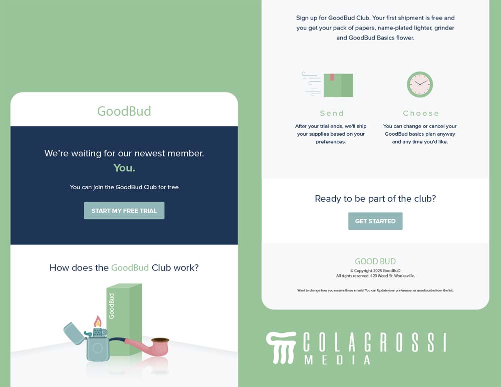 An email design of Loyalty Program for Cannabis Marketing in email.