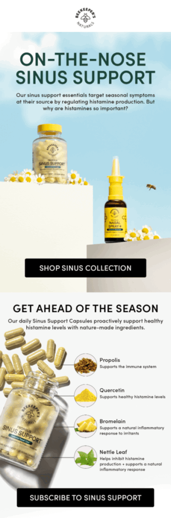 World Bee Day email example.