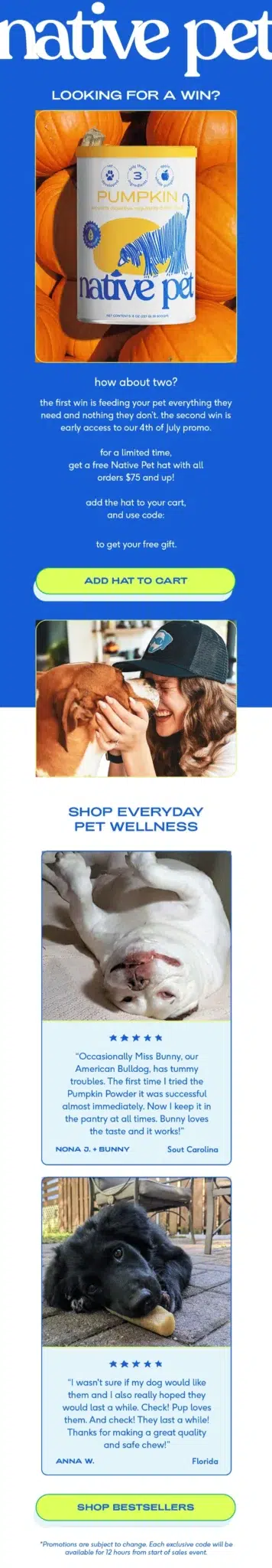 Cover for Native Pet Pumpkin brand email design.