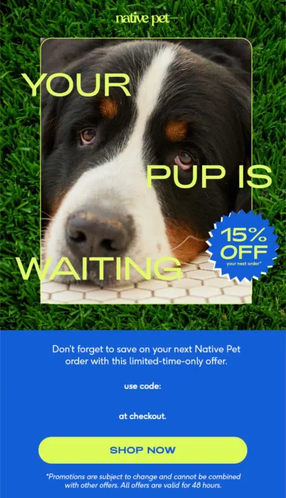 Cover for The NativePet 15 brand email design.