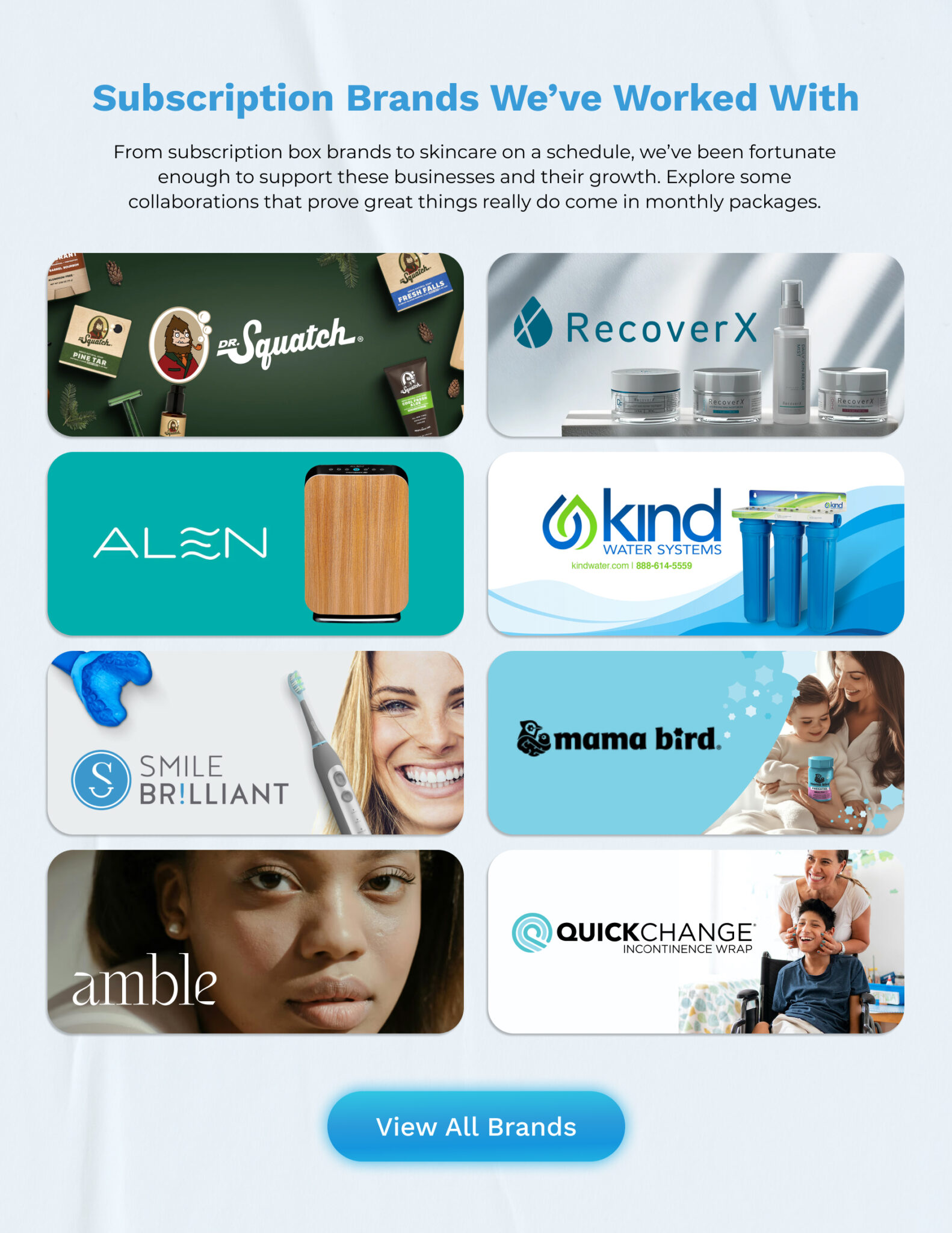 Page 4 of a subscription brand case study.