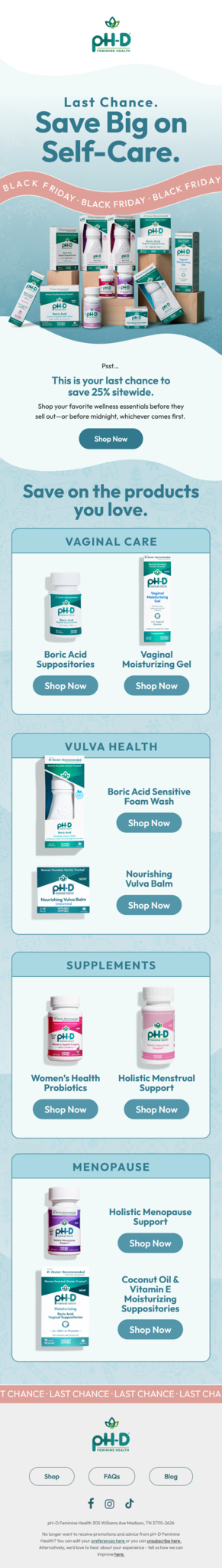 Email design for Black Friday by Flowium.