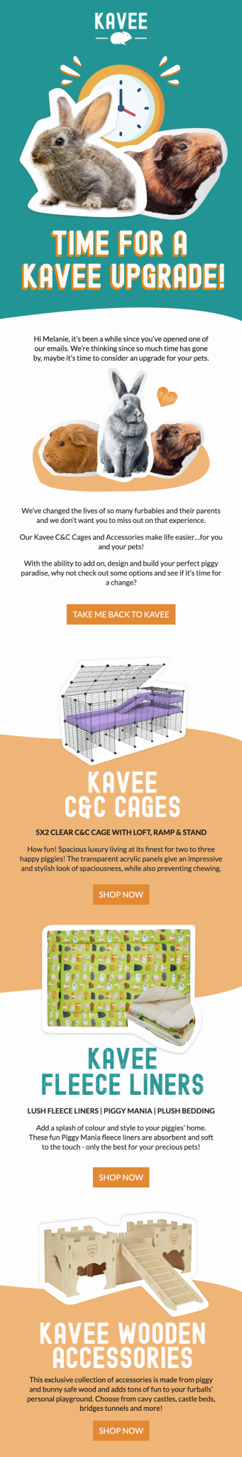 Kavee email example for case study by Flowium.