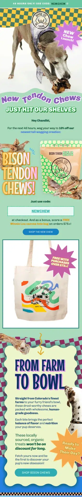 Winnie Lou email example for case study by Flowium.